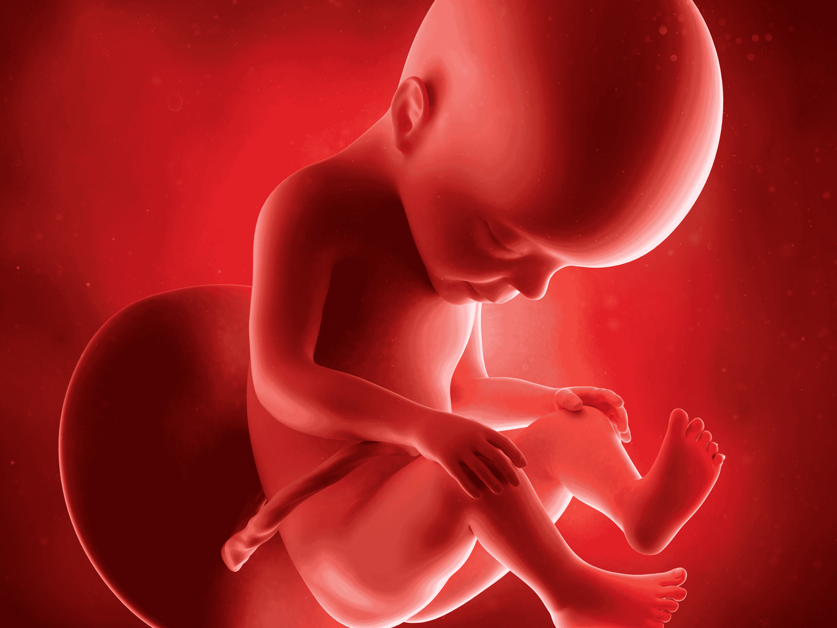Your Pregnancy at Week 27