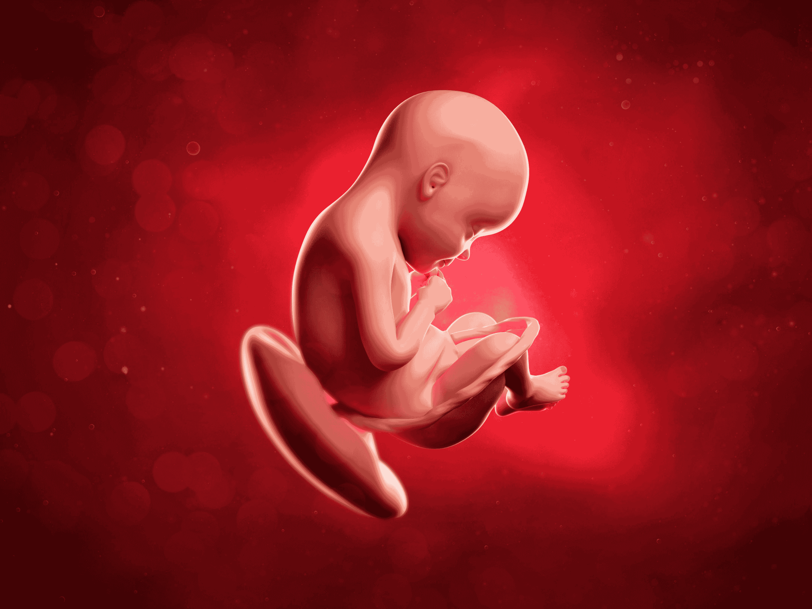 Your Pregnancy at Week 29