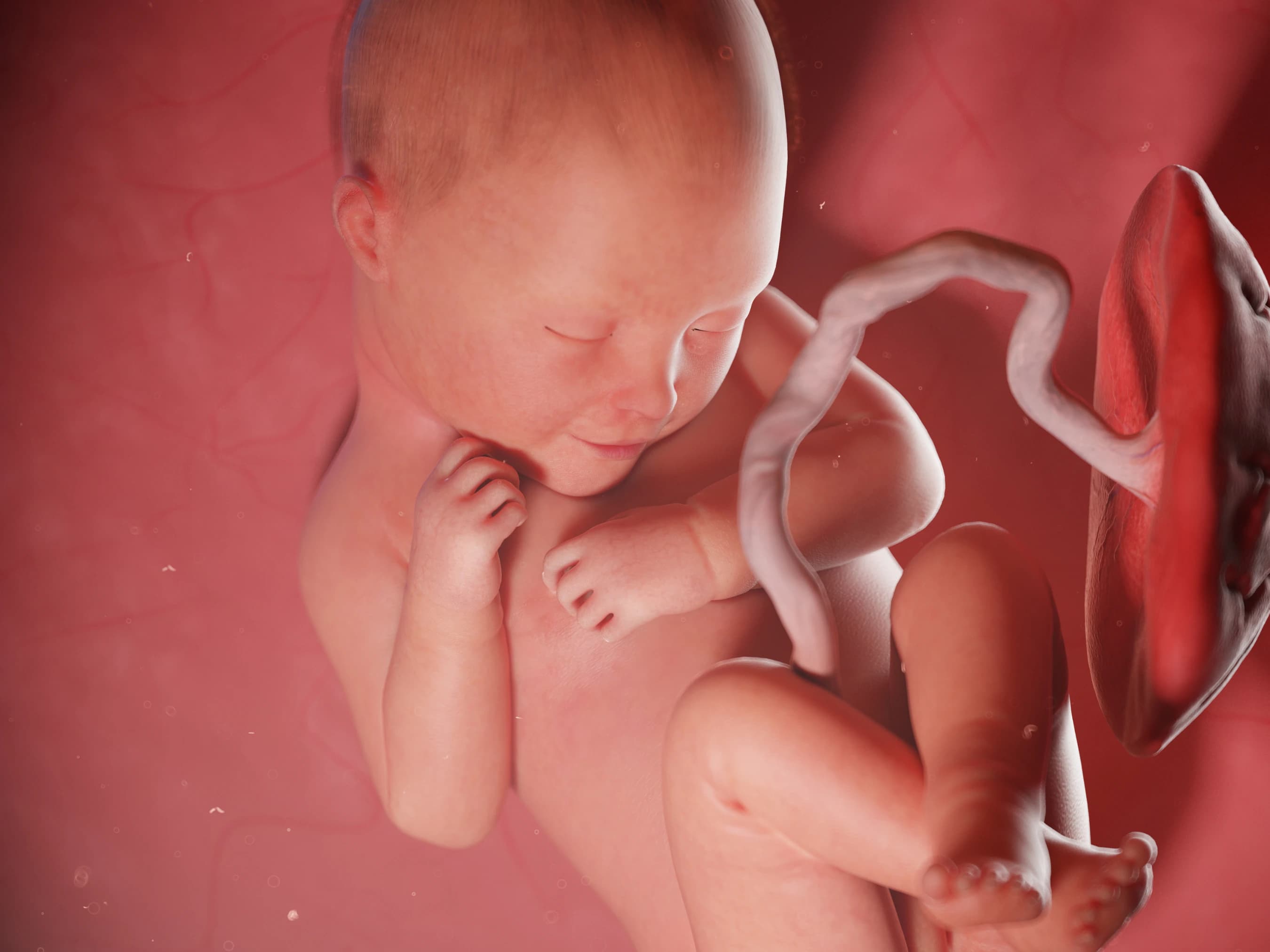 Your Pregnancy at Week 37