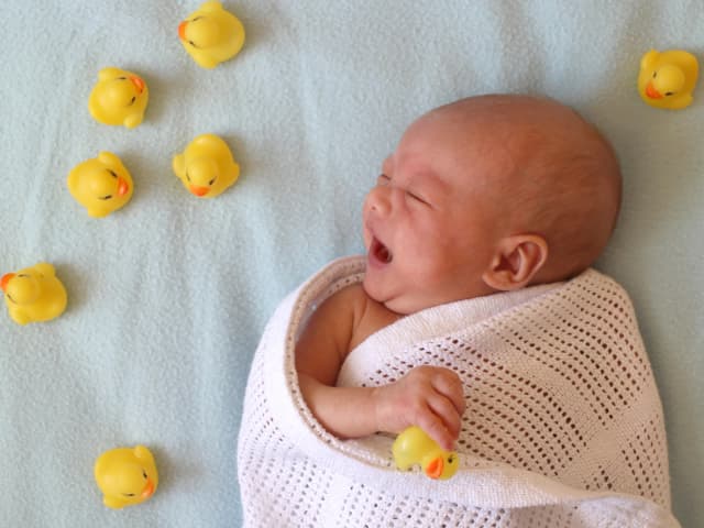 New Born