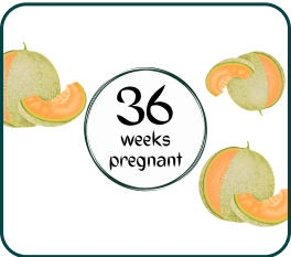 Your Pregnancy At Week-36