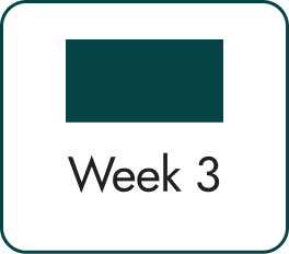 Pregnancy Week 3