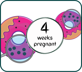 Your Pregnancy at Week-4