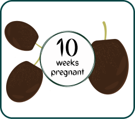 Your Pregnancy at Week-10