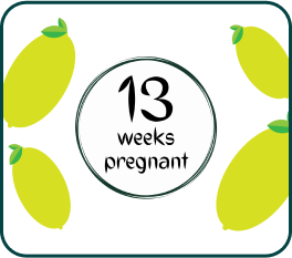 Your Pregnancy at Week-13