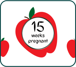 Your Pregnancy At Week-15