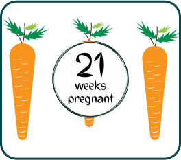 Your Pregnancy At Week-21