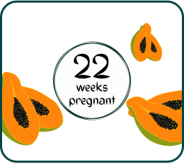 Your Pregnancy At Week-22