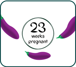 Your Pregnancy At Week-23