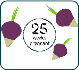 Your Pregnancy At Week-25