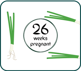 Your Pregnancy At Week-26