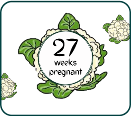 Your Pregnancy At Week-27