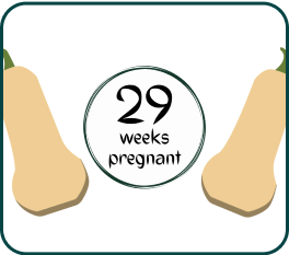 Your Pregnancy At Week-29