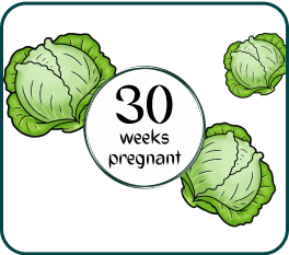 Your Pregnancy At Week-30