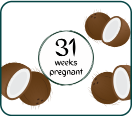 Your Pregnancy At Week-31