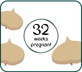 Your Pregnancy At Week-32