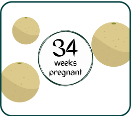 Your Pregnancy At Week-34