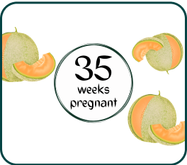 Your Pregnancy At Week-35