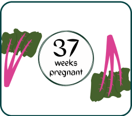 Your Pregnancy At Week-37