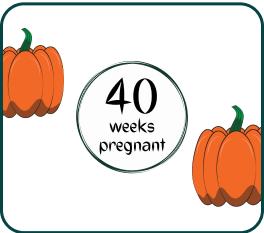 Your Pregnancy At Week-40