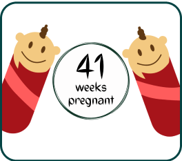 Your Pregnancy At Week-41