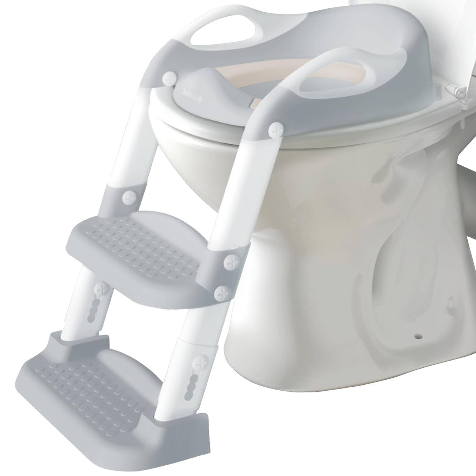 Best Potty Training Seat With Ladder