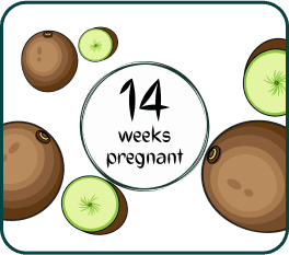 A green apple showcasing the words "14 weeks pregnant" in a visually appealing manner.