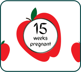 A red apple featuring the text "15 weeks pregnant" displayed prominently on its surface.