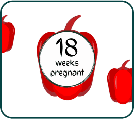 A red pepper featuring the text "18 weeks pregnant" displayed prominently on its surface.