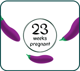 An illustration of an eggplant symbolizing a 23-week pregnant woman, showcasing the beauty of pregnancy and growth.