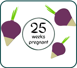 A collection of purple radishes with the words "25 weeks pregnant" artistically integrated into the image.