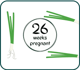 An image featuring a 26 weeks pregnant sign paired with green onions, highlighting the themes of growth and vitality in pregnancy.