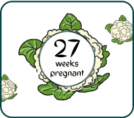 A beautiful white flower with the inscription "27 weeks pregnant" gracefully positioned below the bloom.