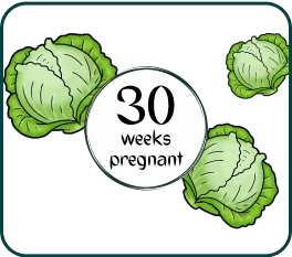 A woman at 30 weeks pregnant, holding a cabbage, symbolizing the size of her baby at this stage of pregnancy.