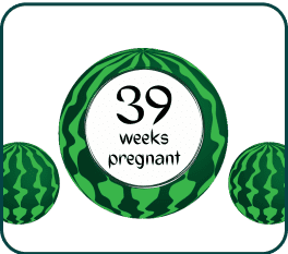 A creative image featuring a watermelon and a pregnancy test, illustrating the lighthearted side of being 39 weeks pregnant.