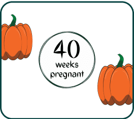 A pumpkin representing 40 weeks of pregnancy, symbolizing the journey of motherhood.